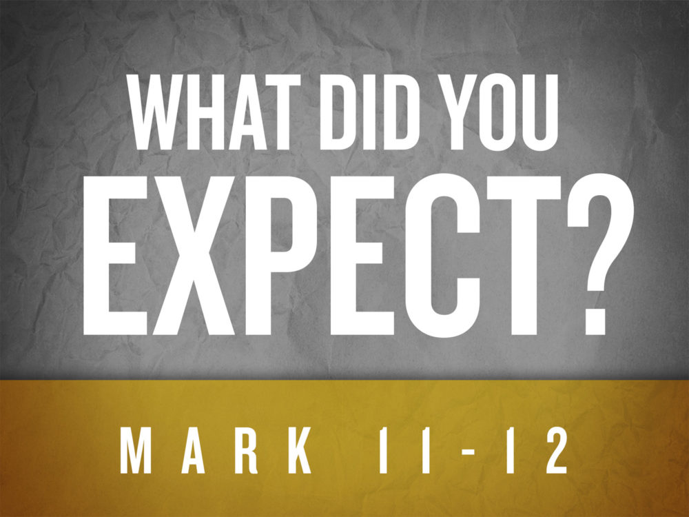 What Did You Expect?