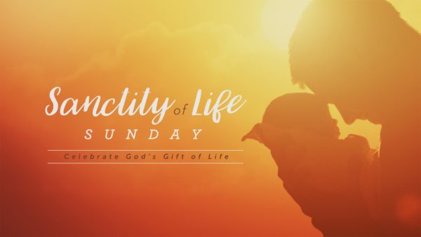 Sanctity of Life Sunday Image