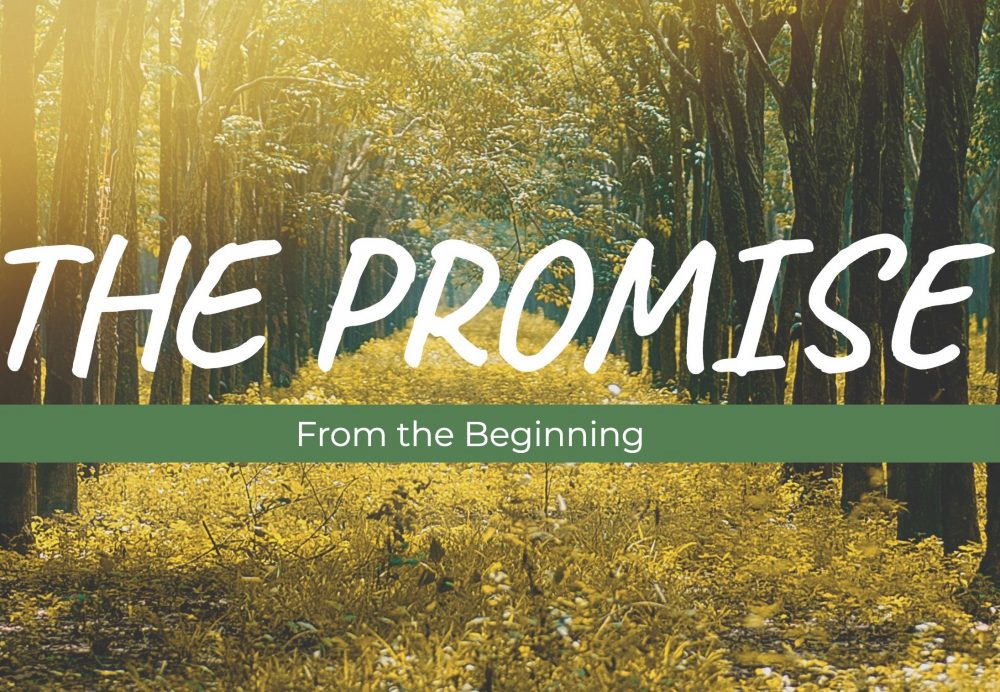 The Promise: From the Beginning