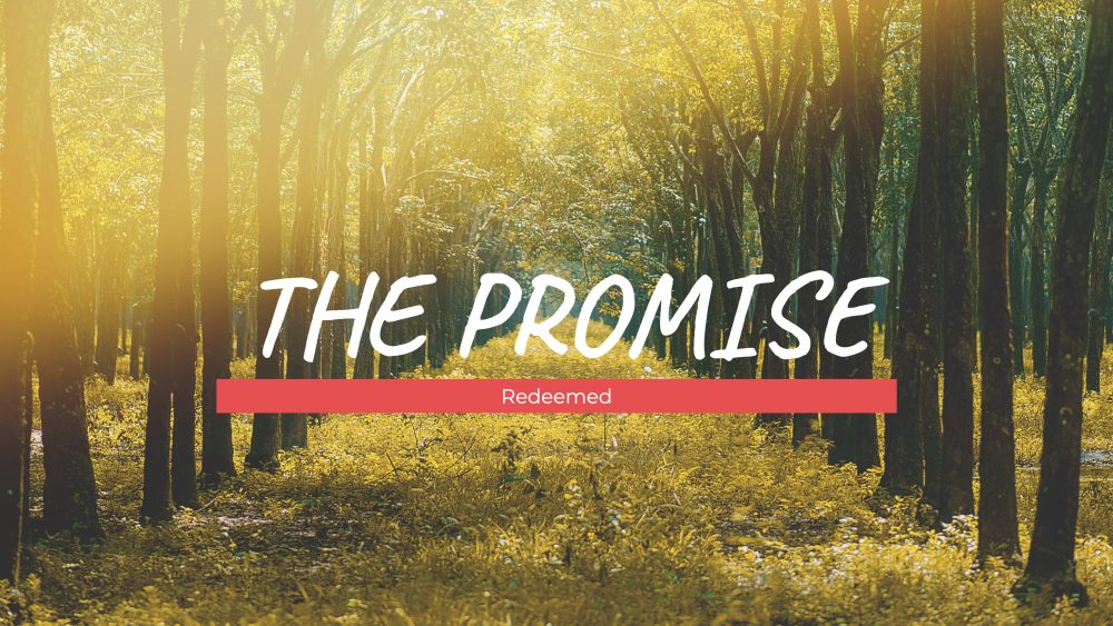 The Promise: Redeemed