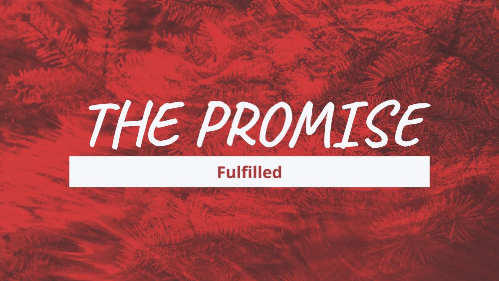 The Promise: Fulfilled