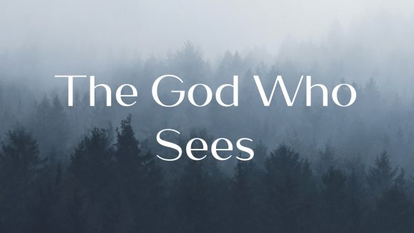 The God Who Sees Image